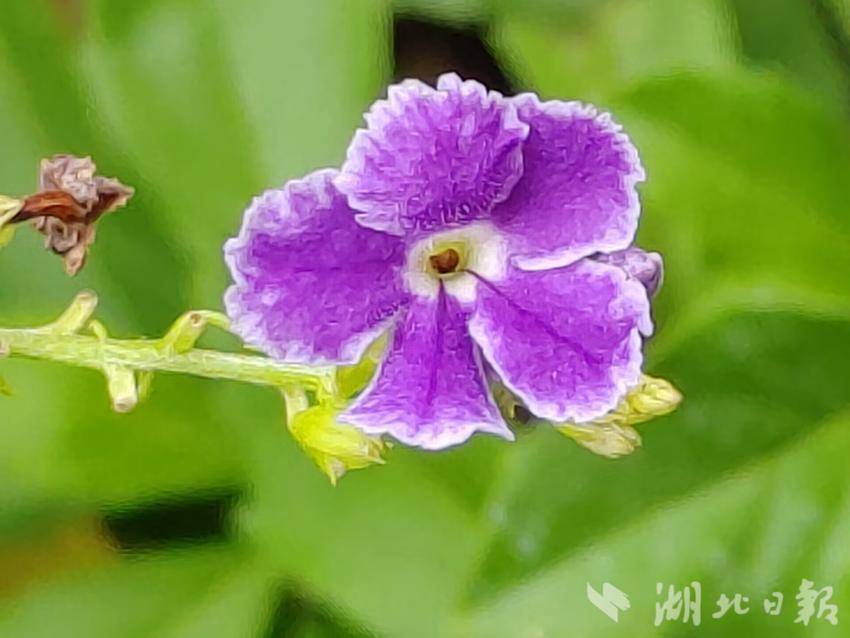 宝博大厅真实赌博
